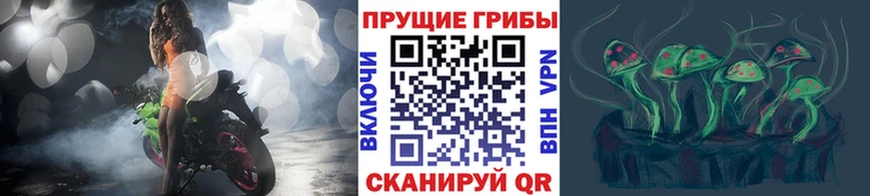 Галлюциногенные грибы Cubensis  Купить закладки  Котлас 