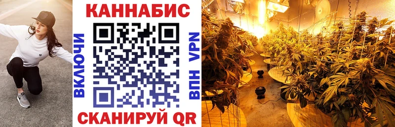Бошки марихуана план  Купить где  Котлас 
